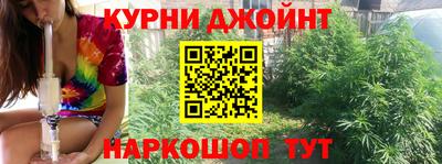 PSILOCYBIN Бердск