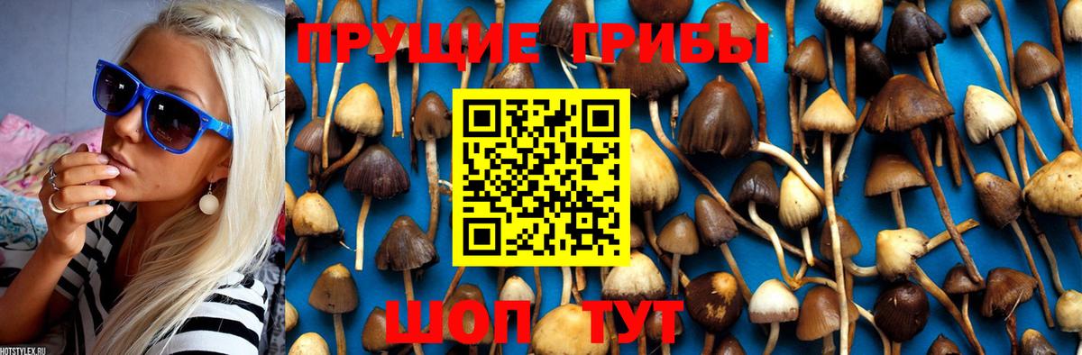 Галлюциногенные грибы прущие грибы Туапсе