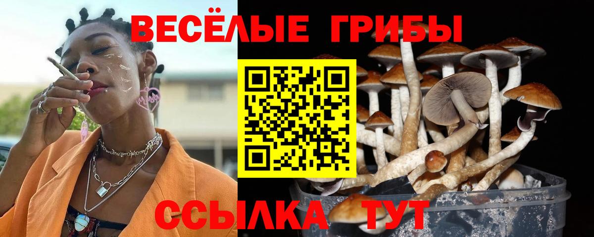 Туапсе  Галлюциногенные грибы ЛСД  Вход с VPN  Галлюциногенные грибы ЛСД 